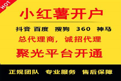 短视频平台的SEM推广实践与效果